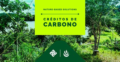 Cr Ditos De Carbono Biof Lica Ambipar Environment