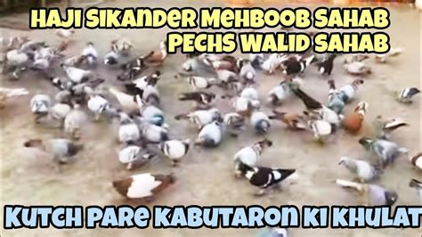 Haji Sikander Mehboob Sahab PECHS Walid Sahab K Shoq Kach Par New