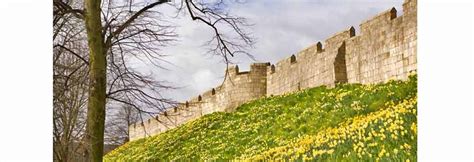 York City Walls - Heroes Of Adventure