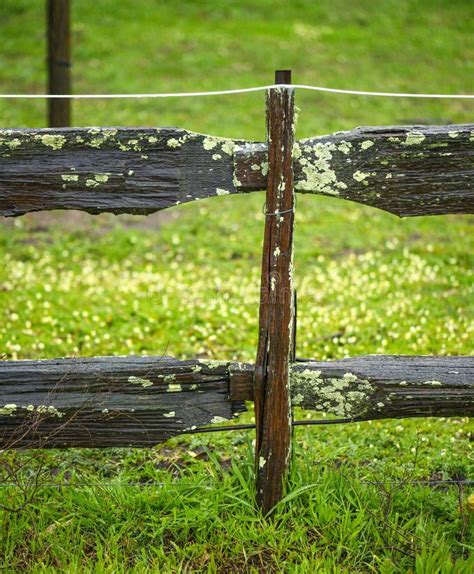 Hardwood Old Fence With Moss Stock Photo Image Of Moss Fence 163095810