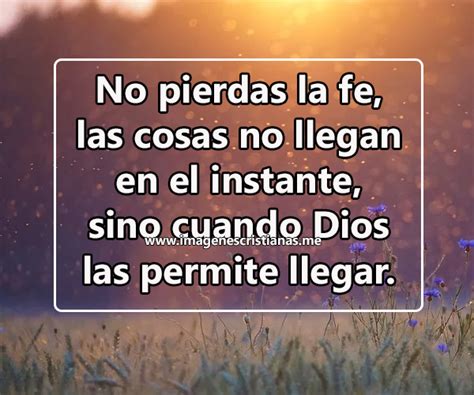 440 Ideas De Frases Y Versiculos En 2021 Frases Cristianas Dios Te