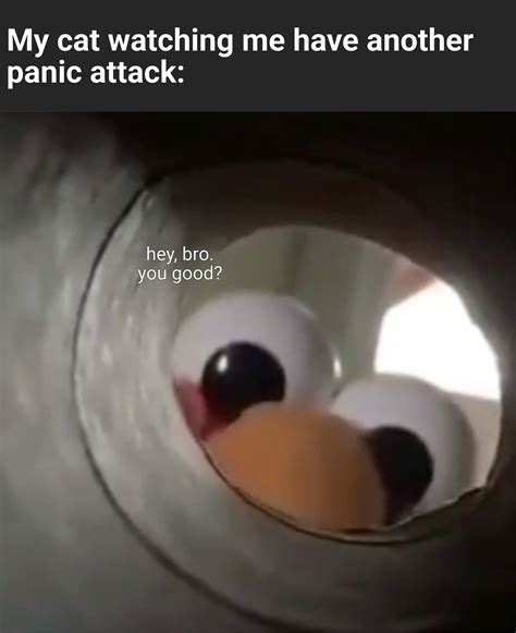 Aw Fuck R Trollcoping