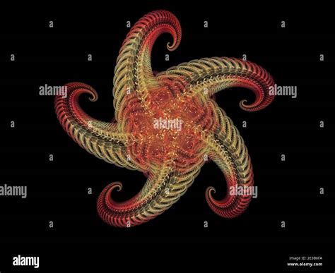 Starfish Fractal Hi Res Stock Photography And Images Alamy