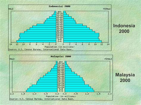 Population Pyramids Ppt