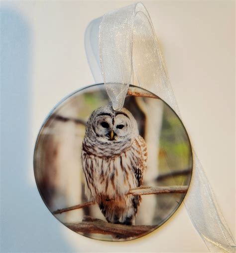 A Glass Beveled Ornament Of A Barred Owl Etsy