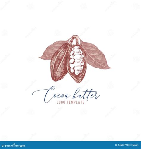 Cocoa Butter Logo With Hand Drawn Cocoa Beans Stock Vector