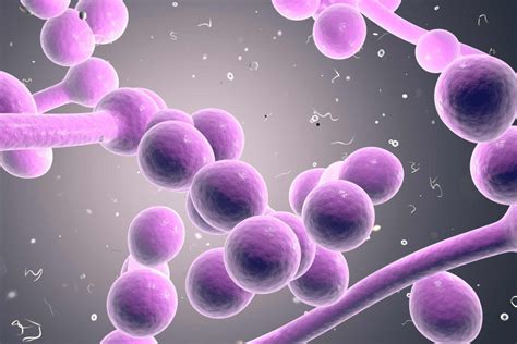 Candidiasis S Ntomas Causas Y C Mo Se Transmite Off