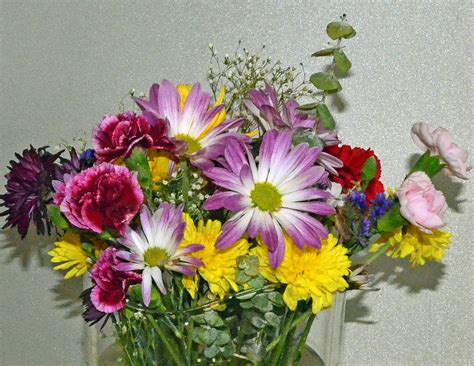 cut flowers - Coronado Times