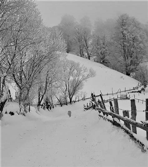 Sex In Zapada O Idee Nebuna Sau O Experienta Intensa Alex