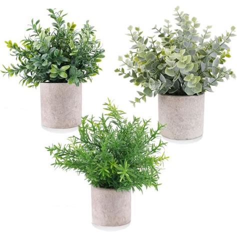 Mini Plantes Artificielles En Pot Pack Plantes D Eucalyptus En