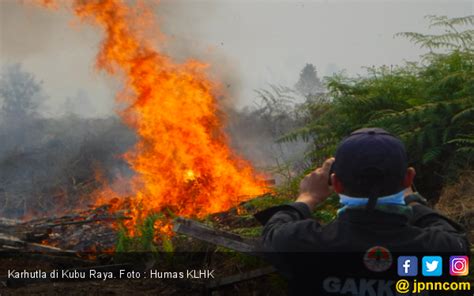 Pelaku Pembakaran Hektar Lahan Terancam Penjara Maksimal Tahun