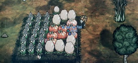 I Want To Give A Particular Fuck You To The Lord Of The Fruit Flys For Ruining My Giant Crop