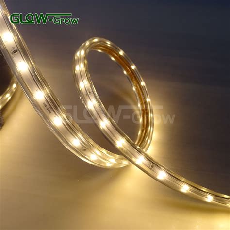 IP65 SMD 2835 60LEDs M Flexible Strip Light With AC Converter China