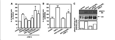 Ins 1 3 4 5 6 P 5 Inhibits The FGF 2 Induced Migration Of HUVEC A