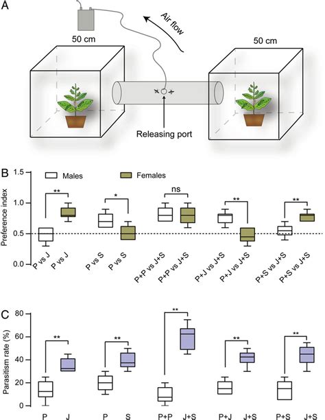 Sex Pheromone Of C Chlorideae Works With Z Jasmone To Increase The Download Scientific