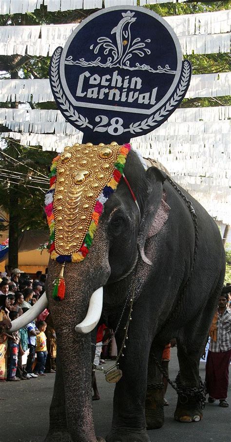 Cochin Carnival 2012-2013 in Fort Kochi - Paperblog