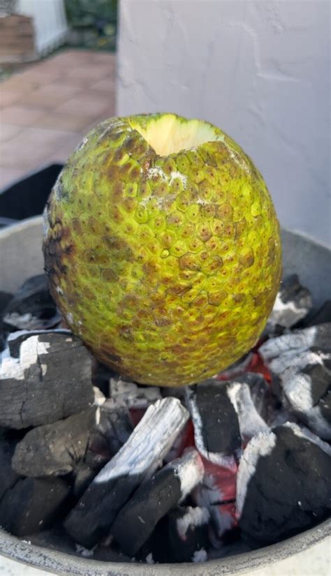 Jamaican Roasted And Fried Breadfruit Jerk Tavern