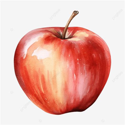 Ilustración De Acuarela De Manzana Roja PNG Manzana Acuarela