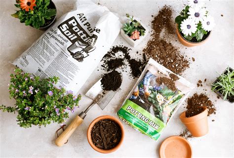 The Difference Between Potting Soil And Potting Mix TrendRadars