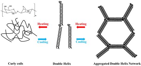 Agarose Hydrogels Encyclopedia Mdpi