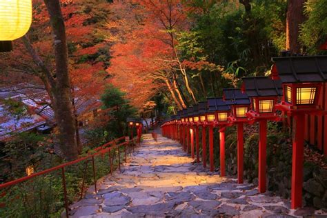 秋の京都の風情を愉しむ「貴船神社のもみじ灯篭」