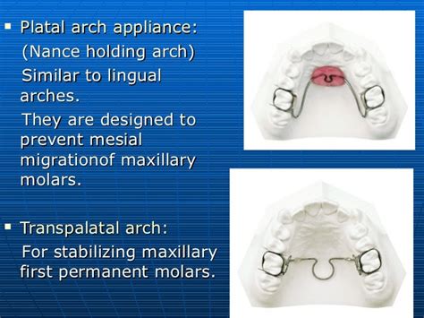 Preventive And Interceptive Orthodontics