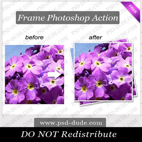 Photoshop Frame Action PSDDude