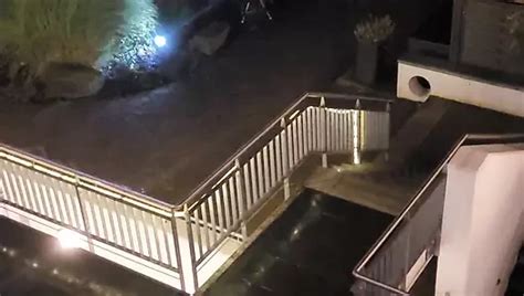 Comorados S Porn Videos And Reels Nude Photos And Bio On Xhamster