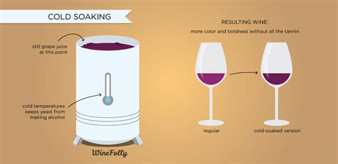 Wine Making Processes How They Affect Wine