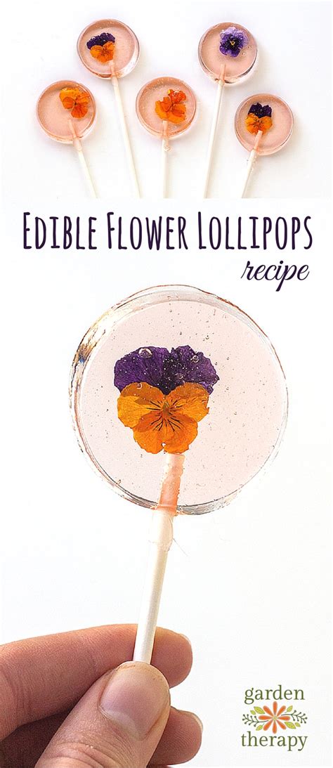 A Sweet Garden Party Treat: Edible Flower Lollipops - Garden Therapy