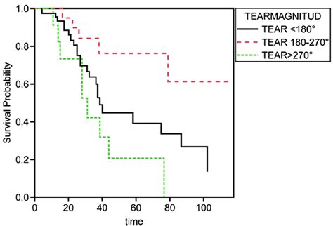 Kaplan Meier Survival Plots Kaplan Meier Survival Probability Plot