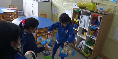 Proyecto P Ques Lyc E Claude Gay Osorno Colegio Franc S De Osorno