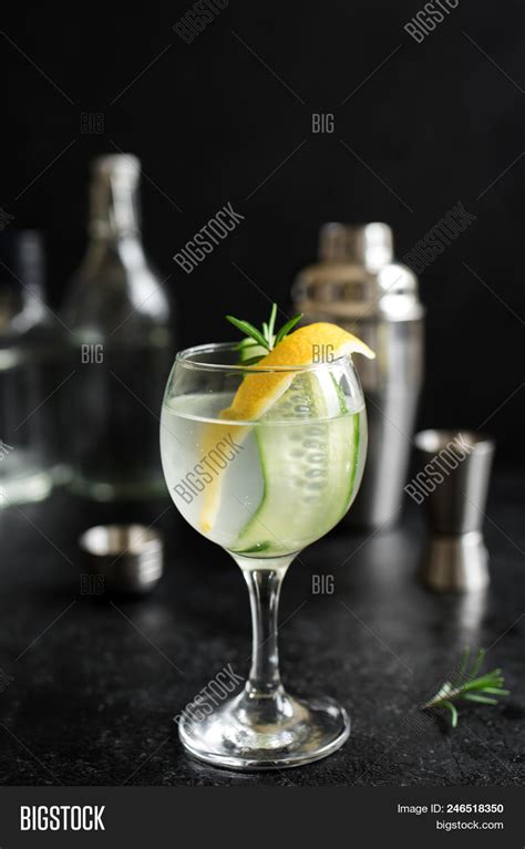 Gin Fizz Cocktail Image & Photo (Free Trial) | Bigstock