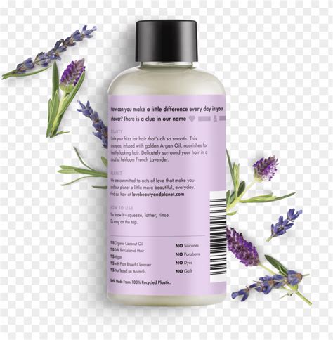 Love Beauty And Planet Argan Oil Lavender Shampoo - Love Beauty And ...