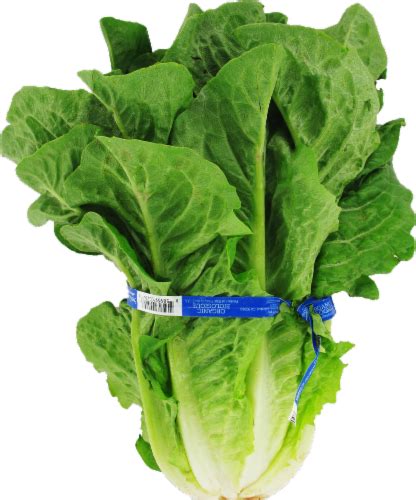 Organic Romaine Lettuce 1 Ct Ralphs