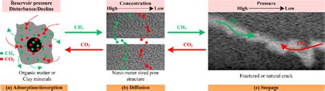 Schematic Diagram Of Gas Transport Mechanism In Shale Reservoir