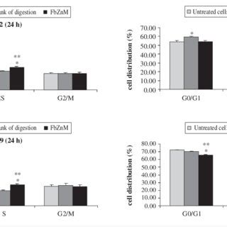 Analysis Of Cell Cycle Distribution Of Caco 2 And HT 29 Cells Treated