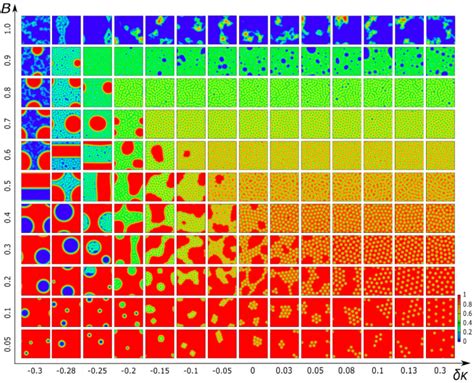 Universal Flux Patterns And Their Interchange In Superconductors