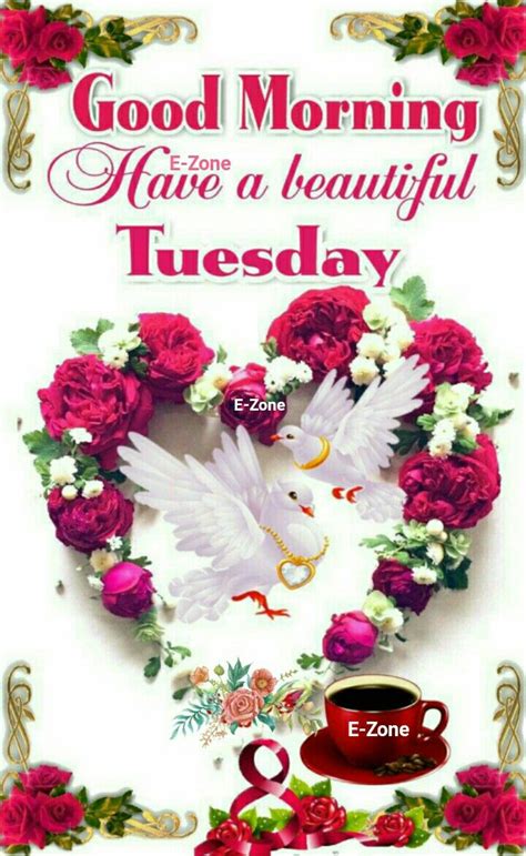 Good Morning Tuesday Greetings | Good morning tuesday, Good morning ...