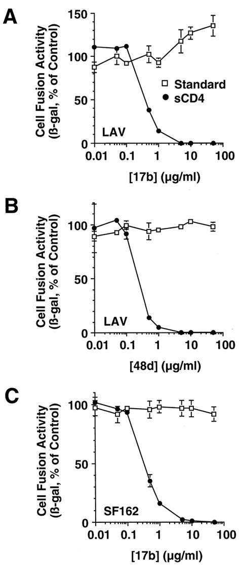 Sequential CD4 Coreceptor Interactions In Human Immunodeficiency Virus