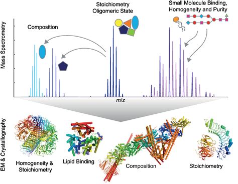 A Whole New World Of Native Mass Spectrometry Technology Networks