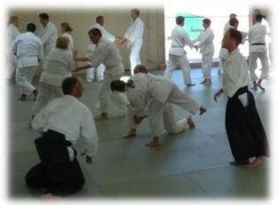 AIKIDO Instructors near me Castle Rock Denver Colorado Springs