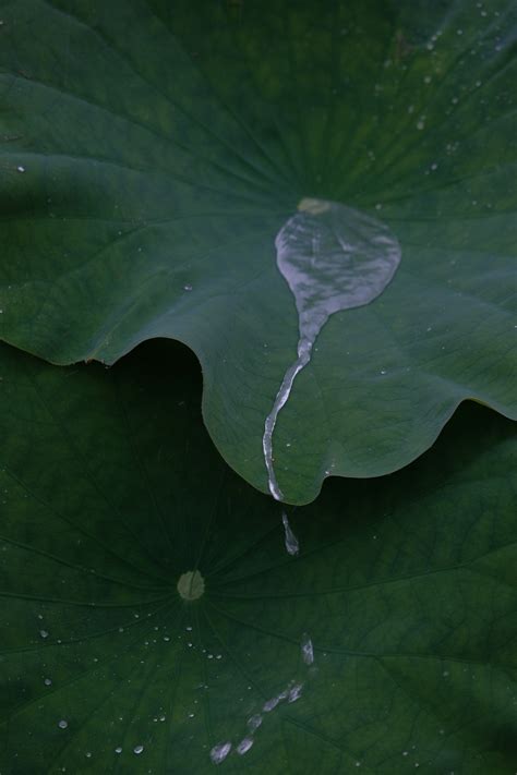 夏至的傍晚 楌狸 富士胶片影赛 FUJIFILM