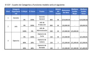 Cuadro De Categor As Y Funciones Arista Consultores