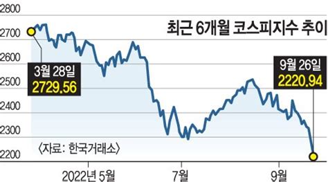 14313원천장 뚫린 환율증시 폭락 금융시장 패닉 네이트 뉴스