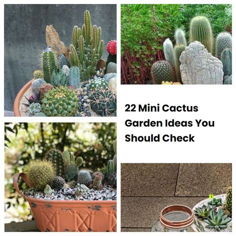 22 Mini Cactus Garden Ideas You Should Check SharonSable