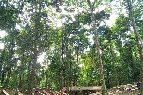 Foto Wae Bobok Tempat Wisata Alam Untuk Melepas Penat Di Labuan Bajo NTT