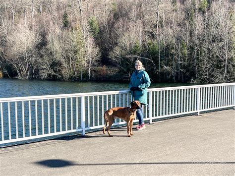 Talsperre Nonnweiler Seerundweg Mit Hund HundeReisenMehr