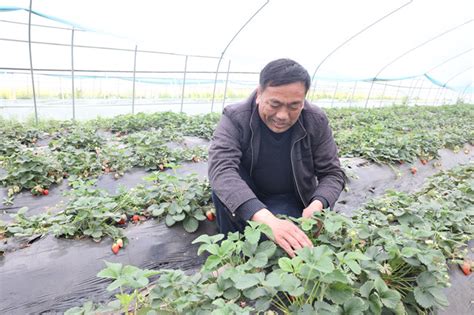 众手浇开幸福花——记湖北省人大代表潘祥树