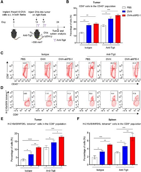 Figure 1 From Intratumoral Delivery Of A PD 1Blocking ScFv Encoded In